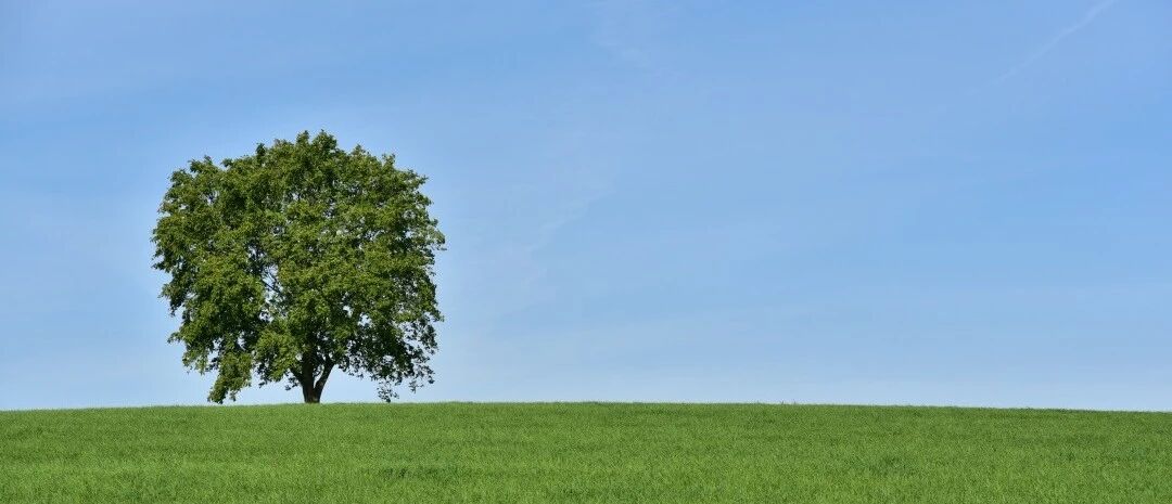 脾虚百病起！四季脾旺不受邪（附调理建议）