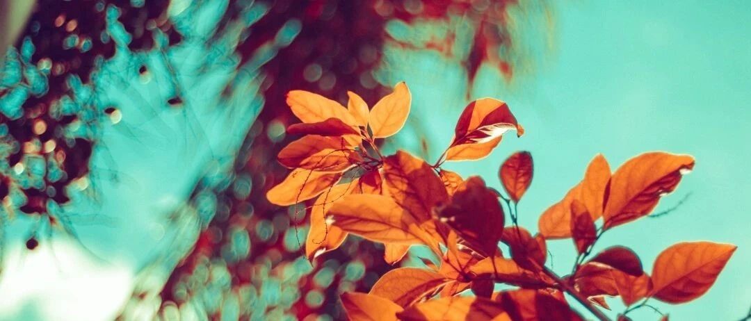 出伏后，记住这几点，祛除残余湿邪，保住我们的心血管！