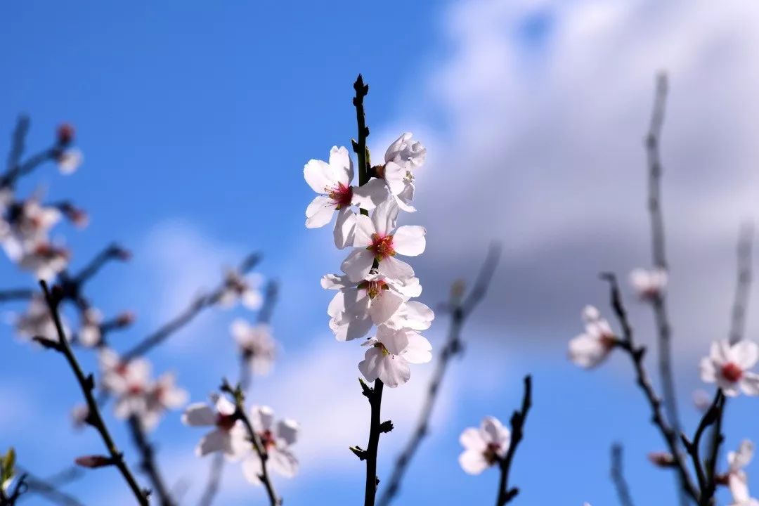 熬夜傷身傷神又傷肝，睡覺不是唯一補救方法，5招減少熬夜後遺症 健康 第1張