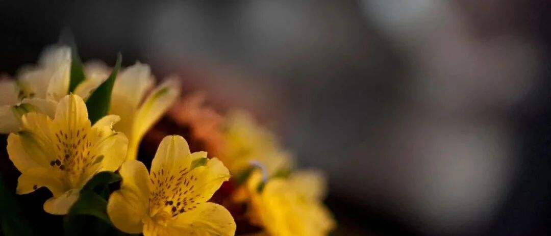 肾好的6个表现，有两个以上，说明肾还好，常吃3物，肾会越来越好