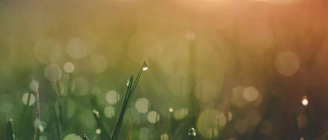 立秋后，无论老少必须养好这里！秋冬少生病的秘诀如此简单