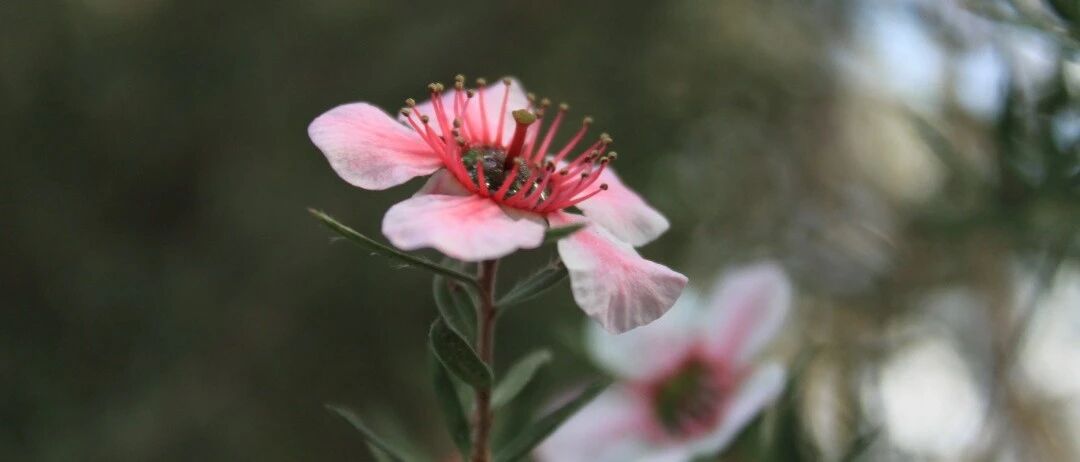 三伏天，建议不吃三饭，不睡三觉，多喝三水