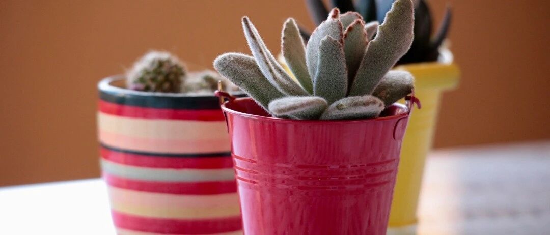 不论男女，每天睡前抬脚15分钟，有意想不到的效果!