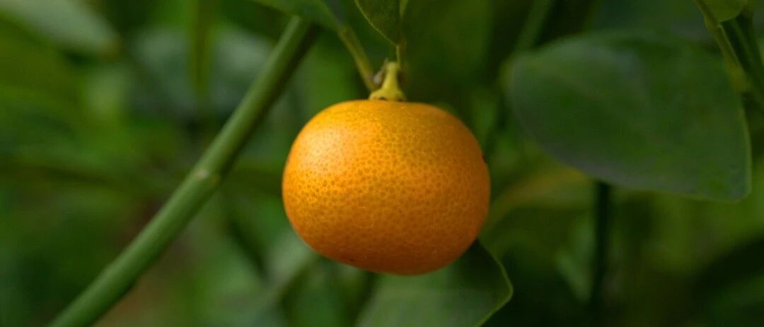 爱生气的人，身体这几处易受伤！试试这3个方法，消消气吧