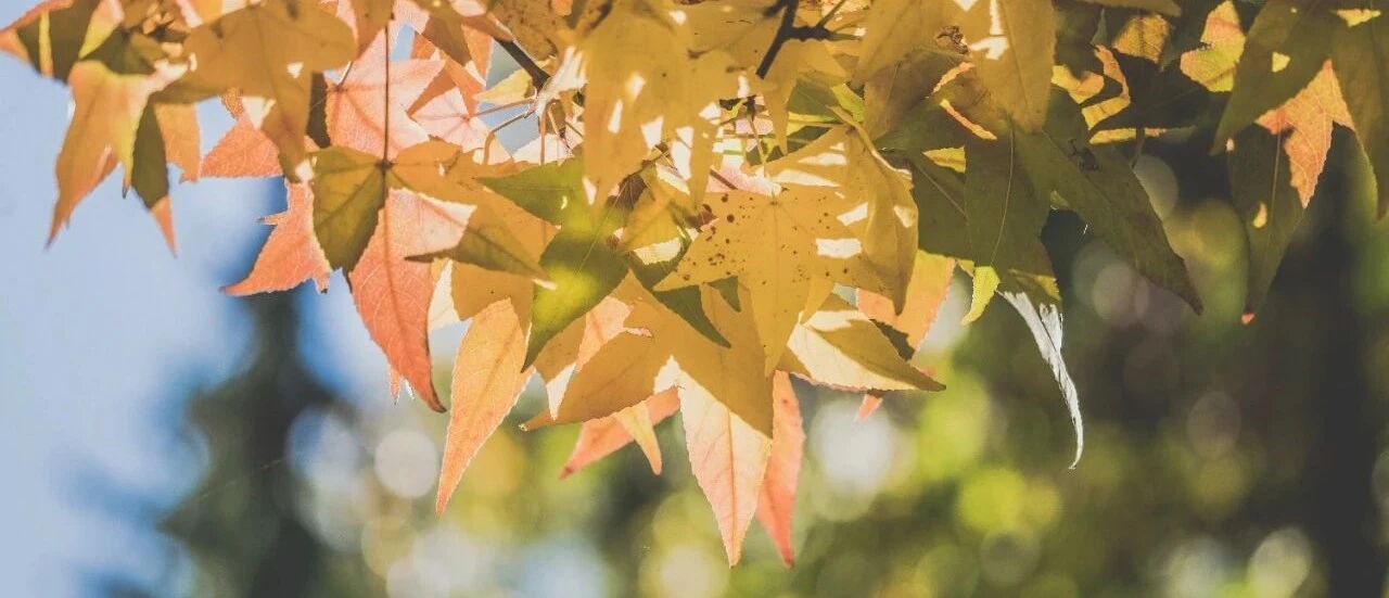 秋天来了，你的免疫力准备好了吗？