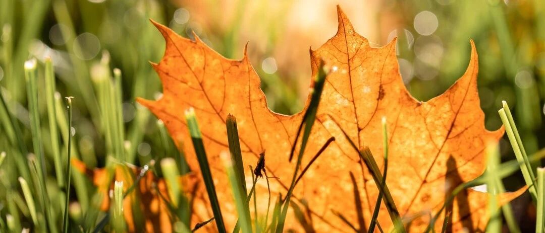 谨记“三不吃，四不做，五相伴”，秋冬少生病！