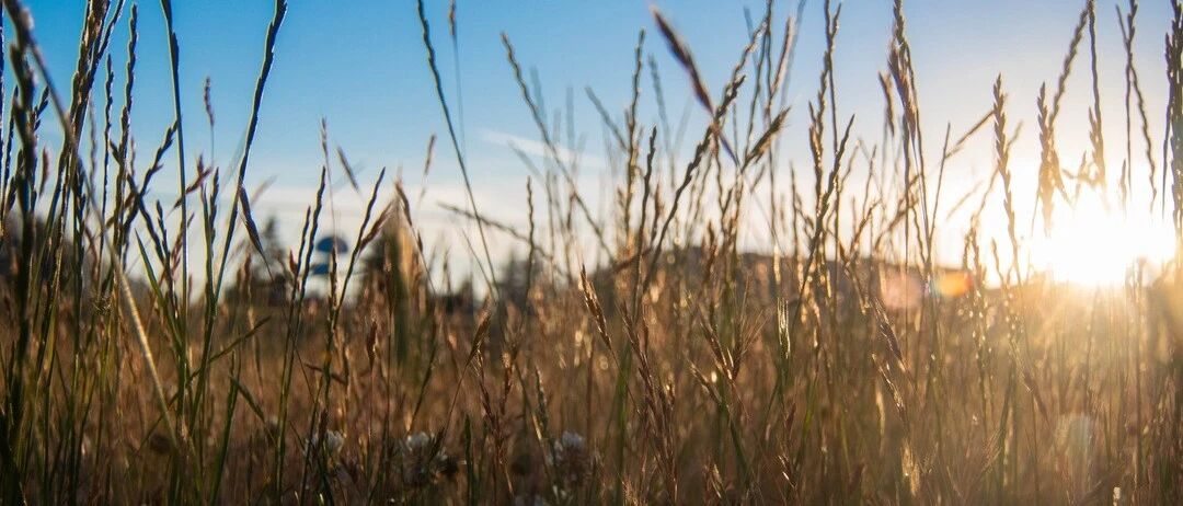 秋天养生，重在四个“润”！