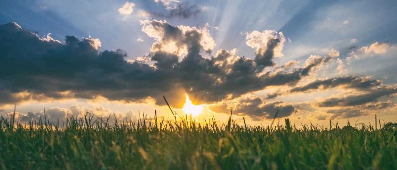 什么是阳气？为什么要补阳气？升发阳气是提高生命质量的好方法！