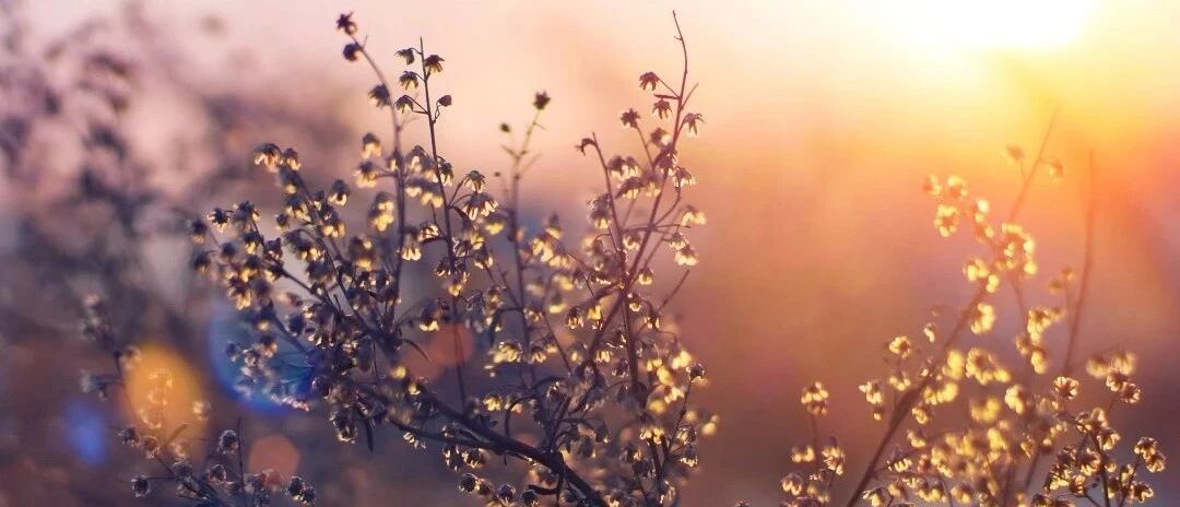 三伏天，最耗阳气的事别干！老中医支四招，守住你的身体根基