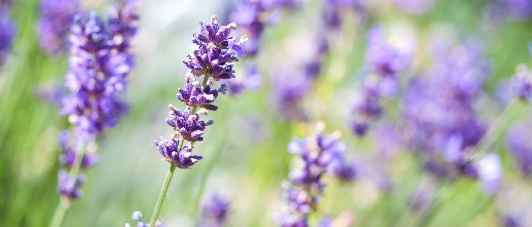 男女养生侧重各不同：男靠吃女靠睡，你做对了吗？