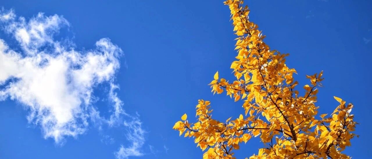 秋季这个部位非常脆弱，千万要小心，否则冬天一身病！教你几招调理