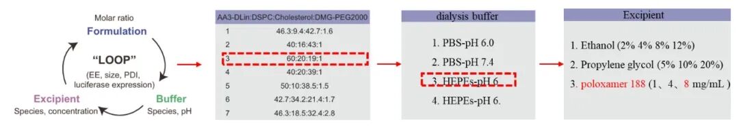 优化吸入LNP制剂，通过mRNA介导的抗体治疗增强特发性肺纤维化的治疗