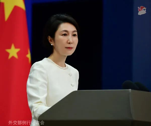 毛寧 資料圖。圖源：外交部網(wǎng)站