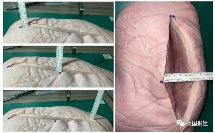 泰女星溺亡案惊人发现，侦探爆警方被收买，偷走遗体故意割伤（组图） - 24