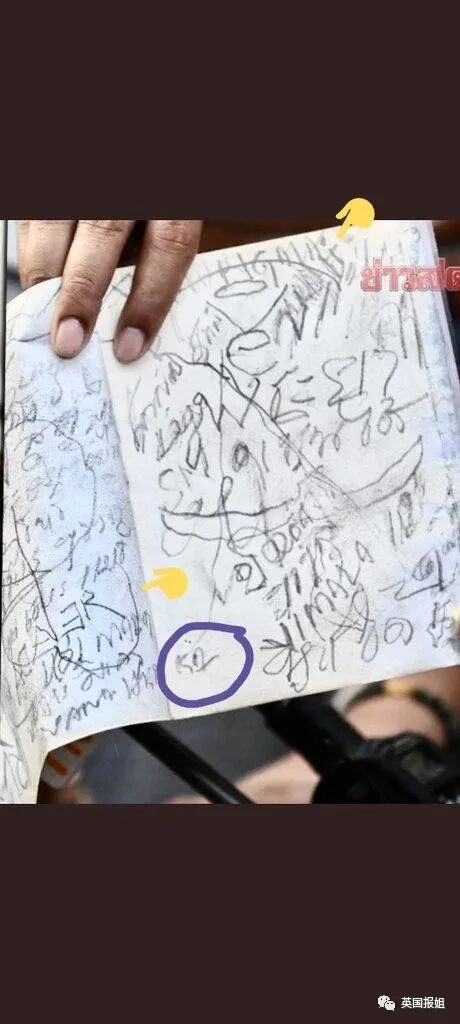 泰女星溺亡案惊人发现，侦探爆警方被收买，偷走遗体故意割伤（组图） - 29