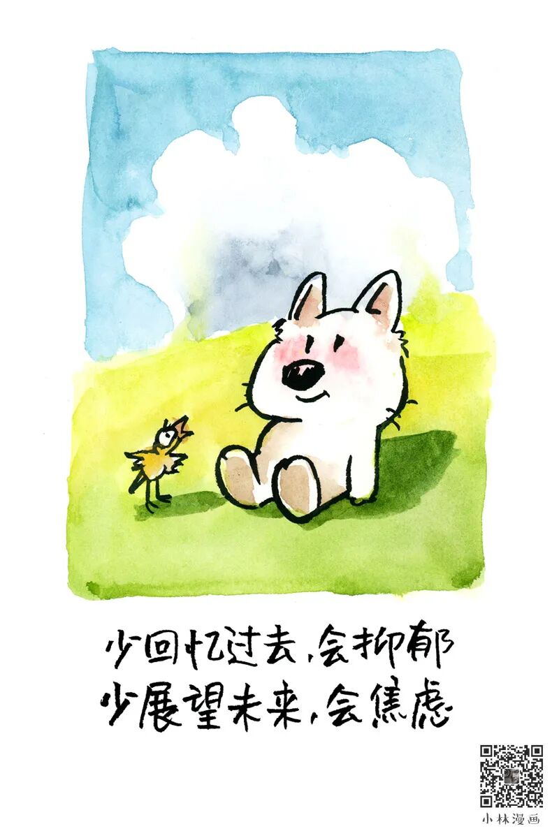 The wind is free, and so are you.