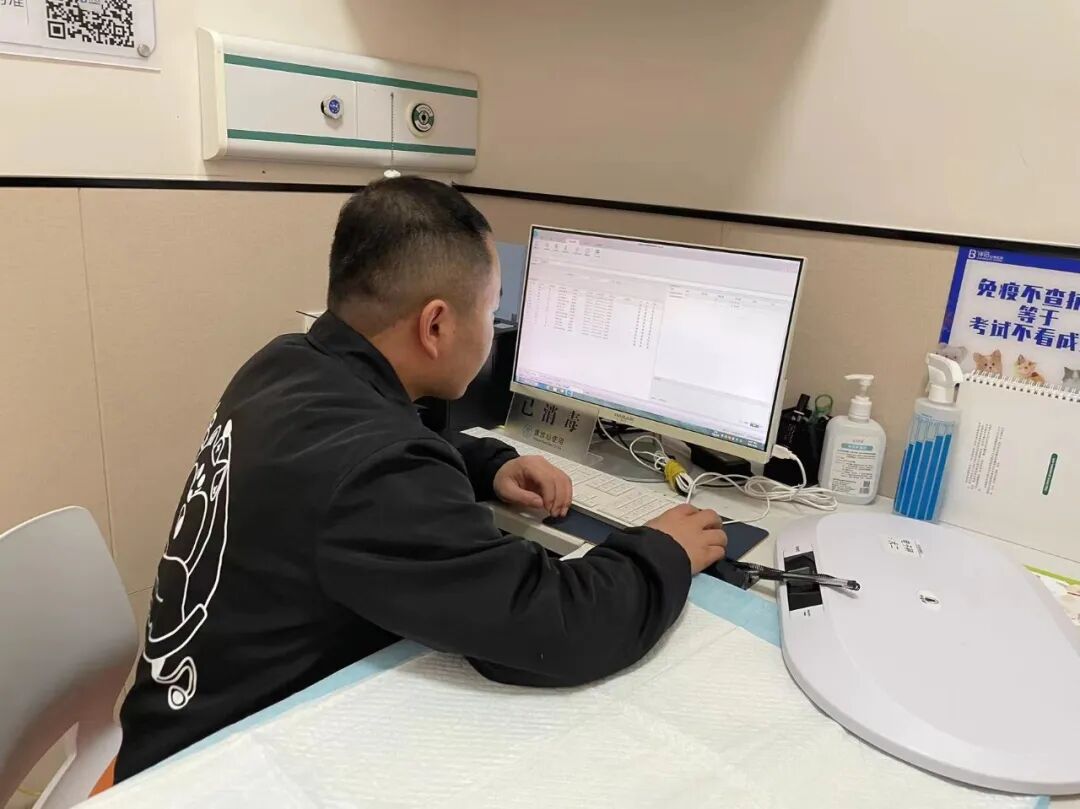 动物拍片腹部怎么摆【病例分享】犬-外科-股骨头切除术_https://www.jmylbn.com_新闻资讯_第3张