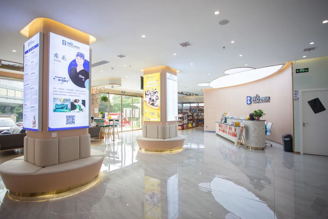 动物拍片腹部怎么摆【病例分享】犬-外科-股骨头切除术_https://www.jmylbn.com_新闻资讯_第37张