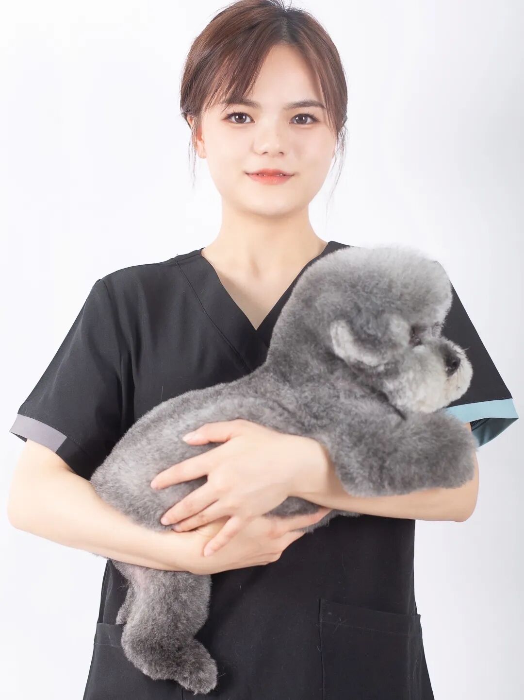 动物拍片腹部怎么摆【病例分享】犬-外科-股骨头切除术_https://www.jmylbn.com_新闻资讯_第34张