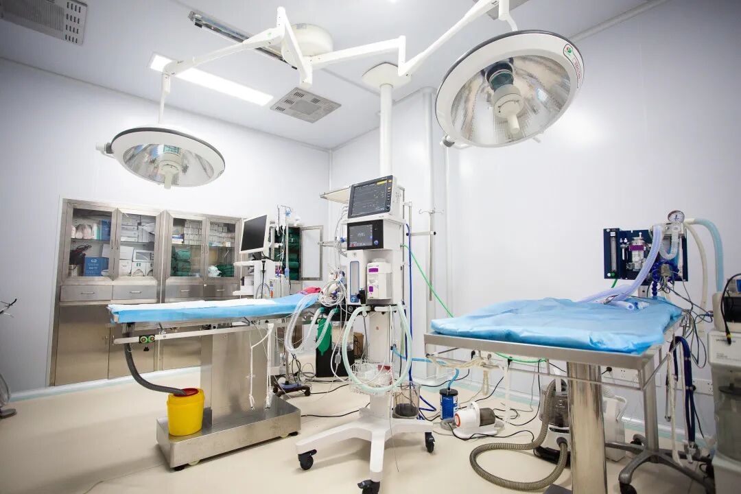 动物拍片腹部怎么摆【病例分享】犬-外科-股骨头切除术_https://www.jmylbn.com_新闻资讯_第38张