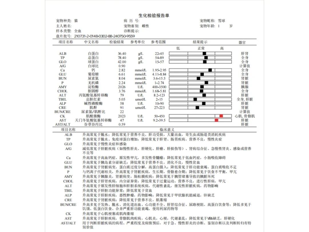 口腔光固化灯是什么光【病例分享】猫-牙科-活髓治疗_https://www.jmylbn.com_新闻资讯_第3张