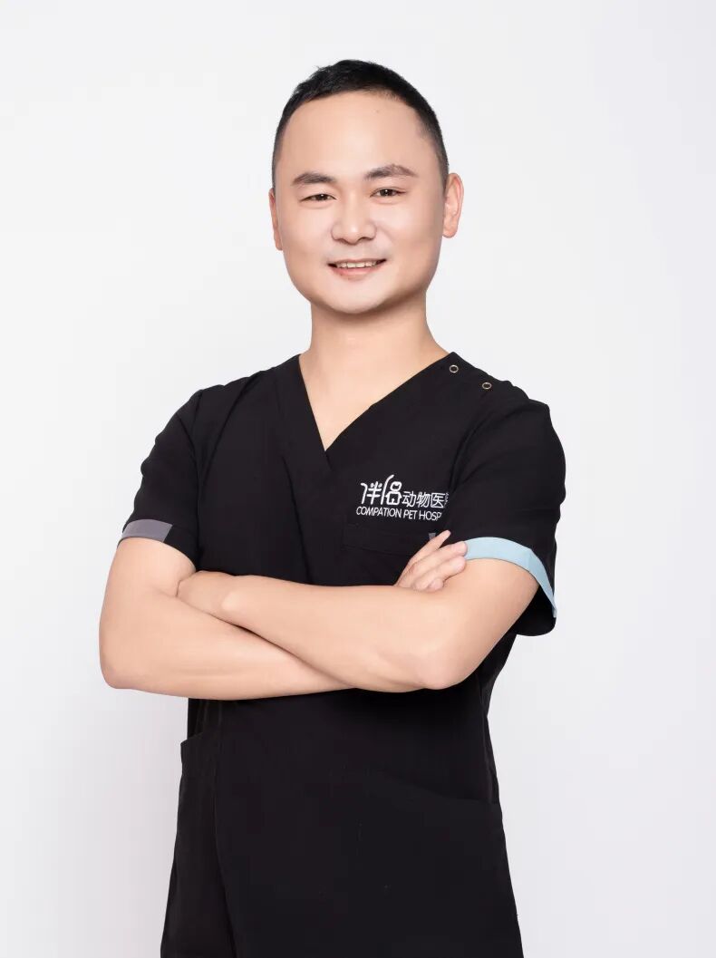 口腔光固化灯是什么光【病例分享】猫-牙科-活髓治疗_https://www.jmylbn.com_新闻资讯_第30张