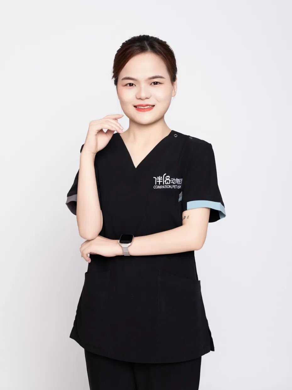 口腔光固化灯是什么光【病例分享】猫-牙科-活髓治疗_https://www.jmylbn.com_新闻资讯_第34张