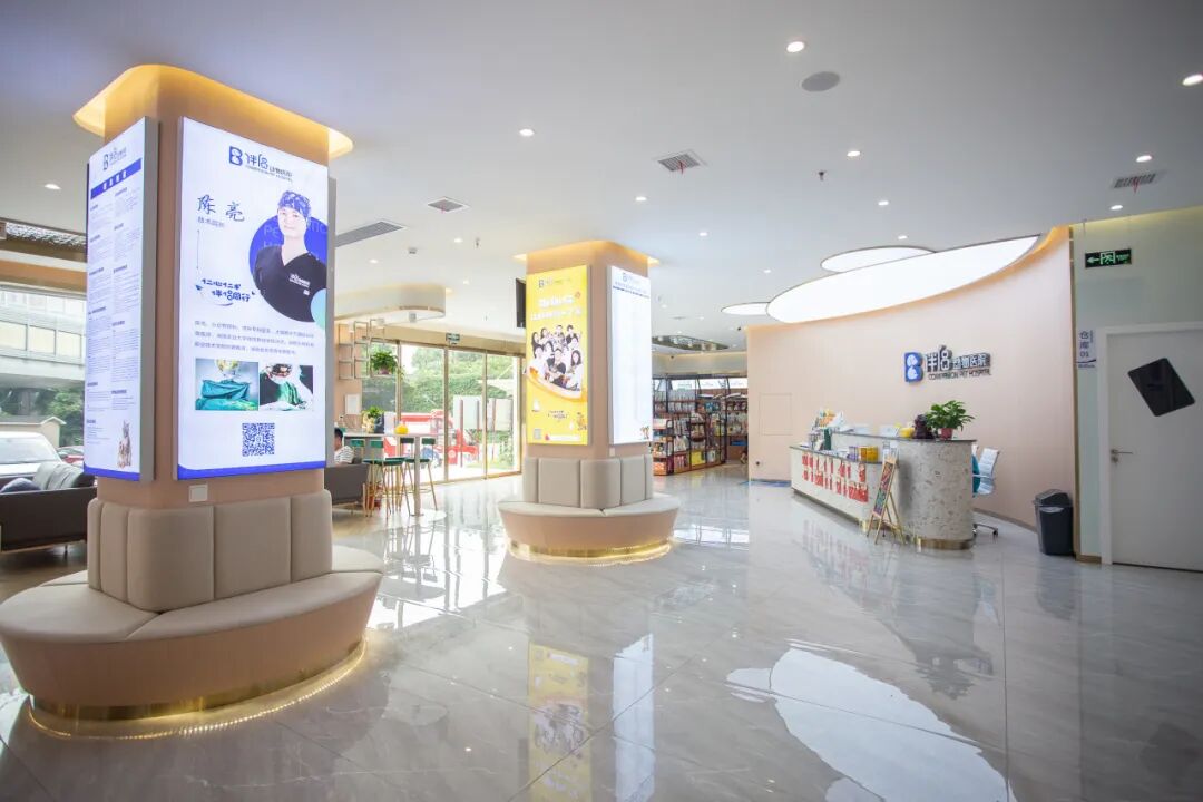 口腔光固化灯是什么光【病例分享】猫-牙科-活髓治疗_https://www.jmylbn.com_新闻资讯_第42张