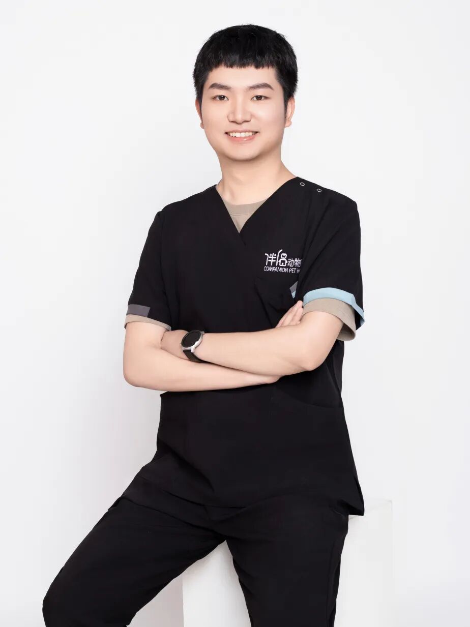 口腔光固化灯是什么光【病例分享】猫-牙科-活髓治疗_https://www.jmylbn.com_新闻资讯_第32张