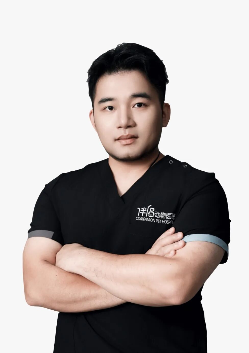 口腔光固化灯是什么光【病例分享】猫-牙科-活髓治疗_https://www.jmylbn.com_新闻资讯_第38张