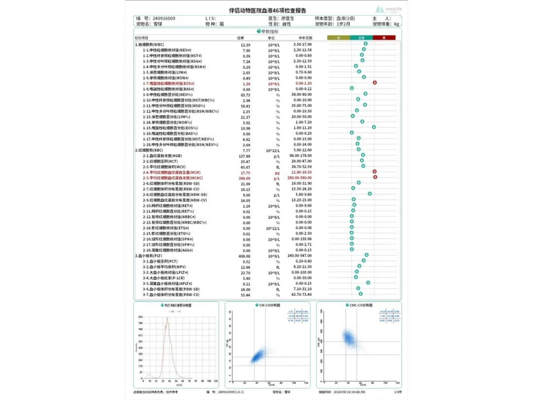 口腔光固化灯是什么光【病例分享】猫-牙科-活髓治疗_https://www.jmylbn.com_新闻资讯_第2张