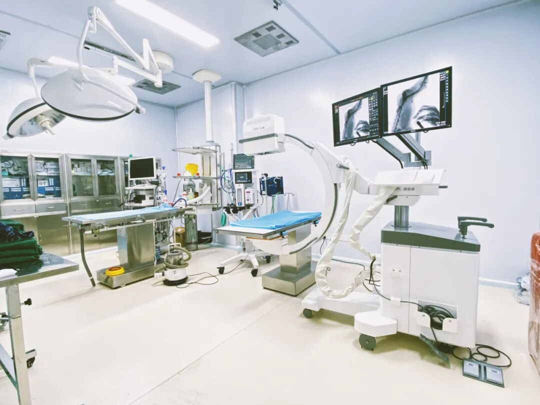 口腔光固化灯是什么光【病例分享】猫-牙科-活髓治疗_https://www.jmylbn.com_新闻资讯_第44张