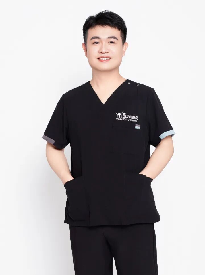 口腔光固化灯是什么光【病例分享】猫-牙科-活髓治疗_https://www.jmylbn.com_新闻资讯_第31张