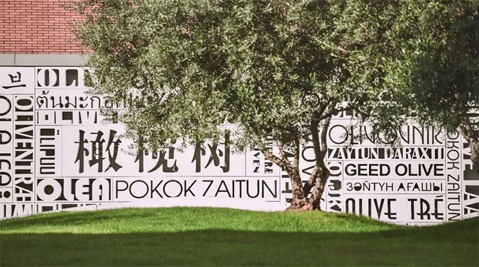 3 杭州橄榄树学校2027招生信息发布(春季班招生)3.jpg