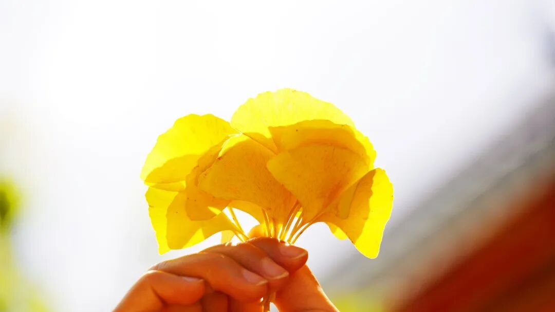 DSC07545 改 - 副本.jpg