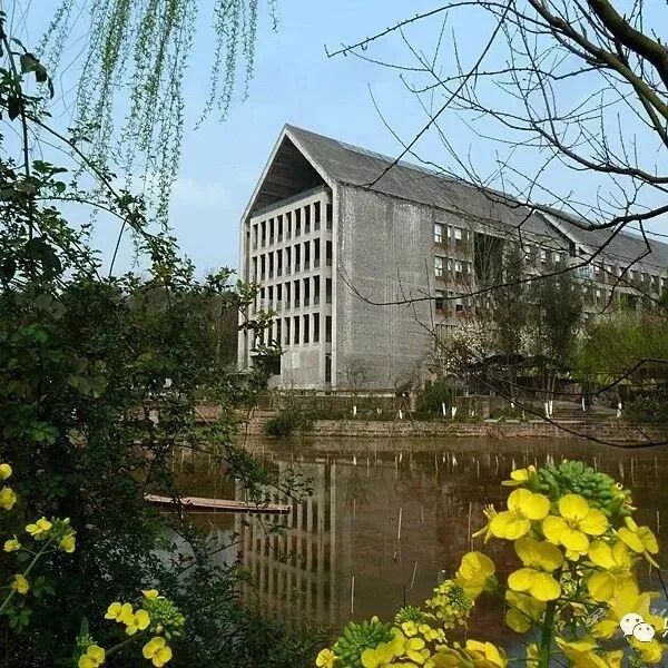 科学城迎新 | 四川美术学院新生入学指南来袭,请注意查收_校园_广场
