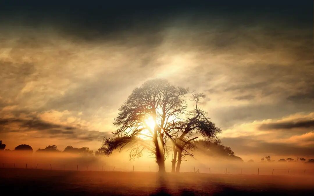 后来,我将夜晚还给雨水那些滴落的声响在不同物体之间碰撞仿佛键盘上