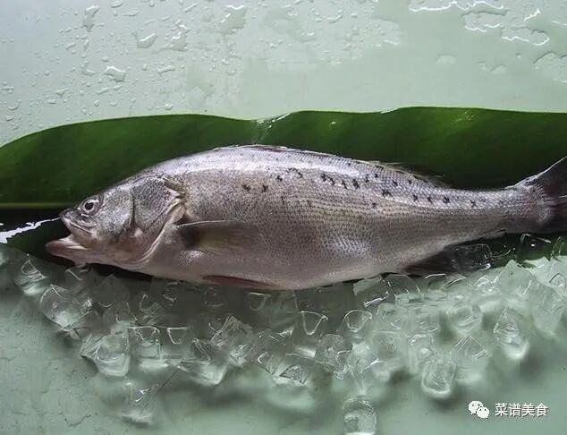 鲈鱼怎么挑选，只要牢记“这三点”，卖鱼老板也不敢坑你