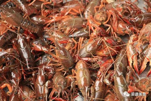 需要焯水的食材有哪些，这4类食材不可偷懒！