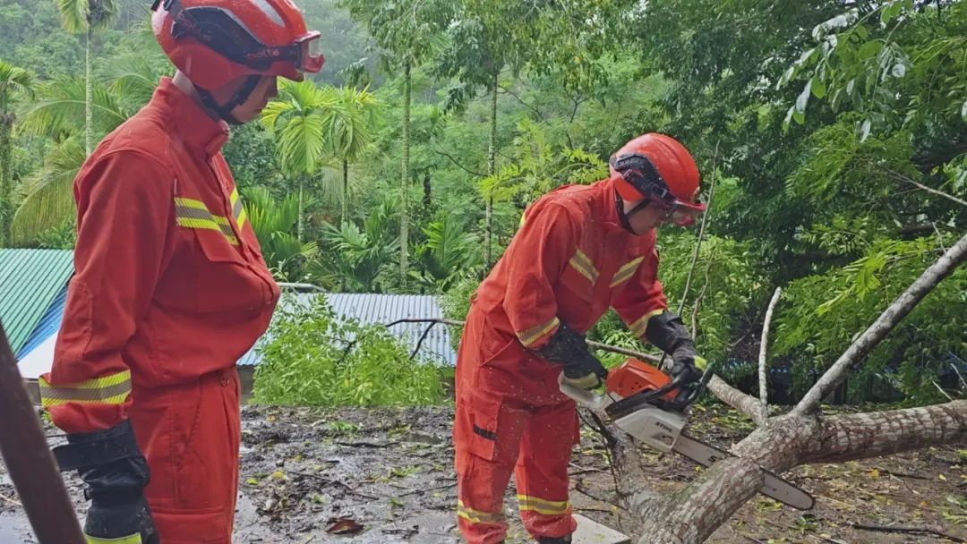 我也怕台风但我是消防员