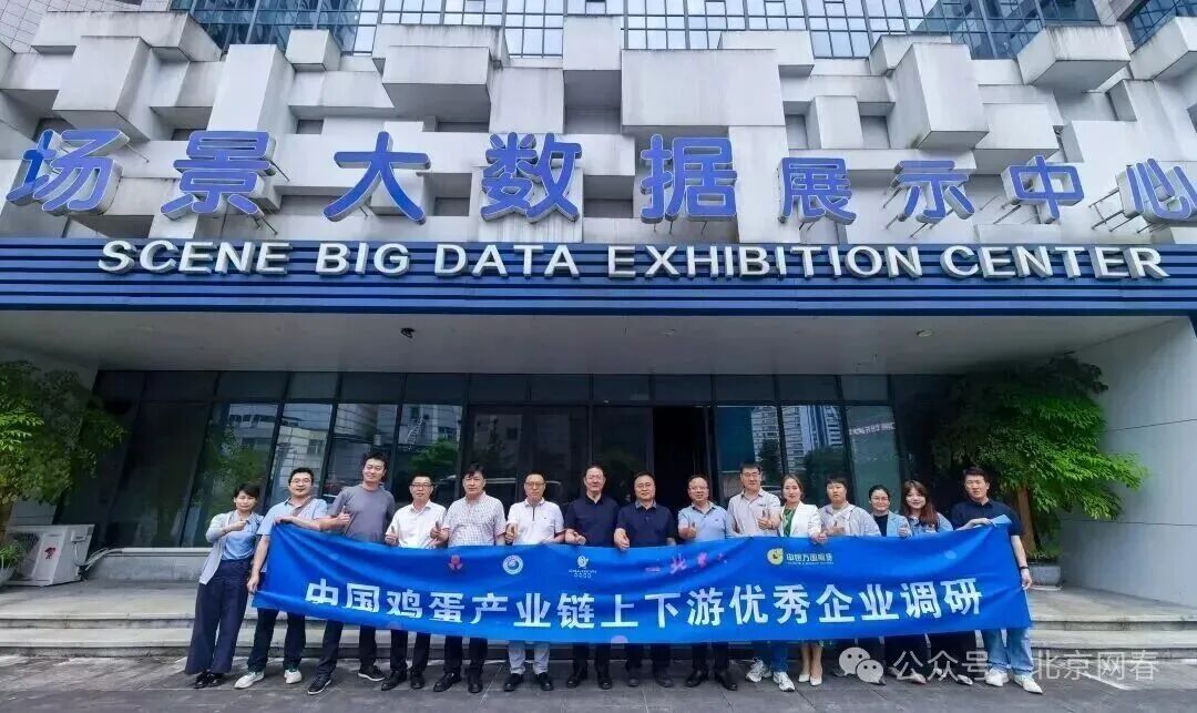 走进贵州蛋鸡标杆场见证精准养殖方案_521cd1f49916fc95eaa151a9552124c1.jpg