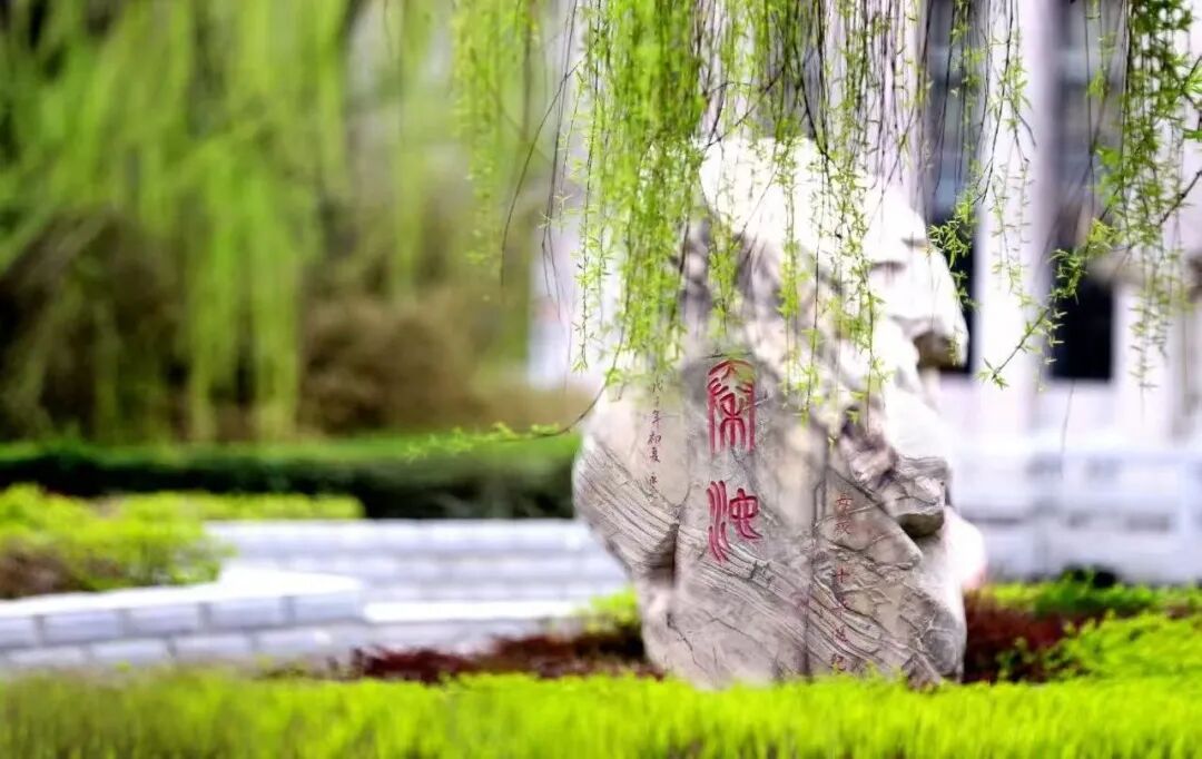 微信图片_20260602170859_711_7.jpg