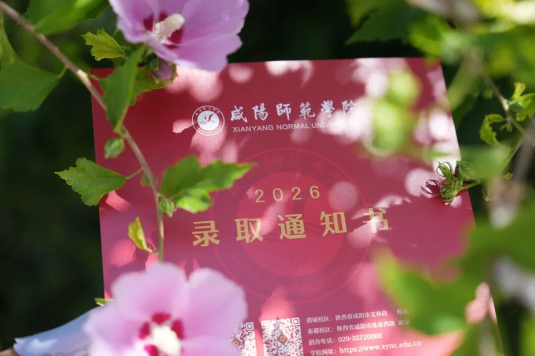 DSC04056.JPG
