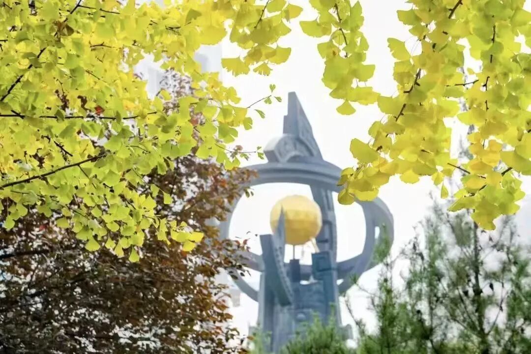 微信图片_20260811145057_989_1.jpg