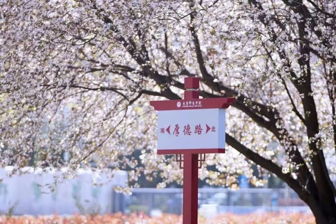 微信图片_20260602170853_710_7.jpg