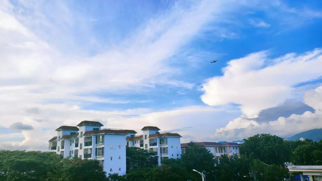 教师招聘 | 三亚市第九小学教育集团凤凰校区2026年招聘公告