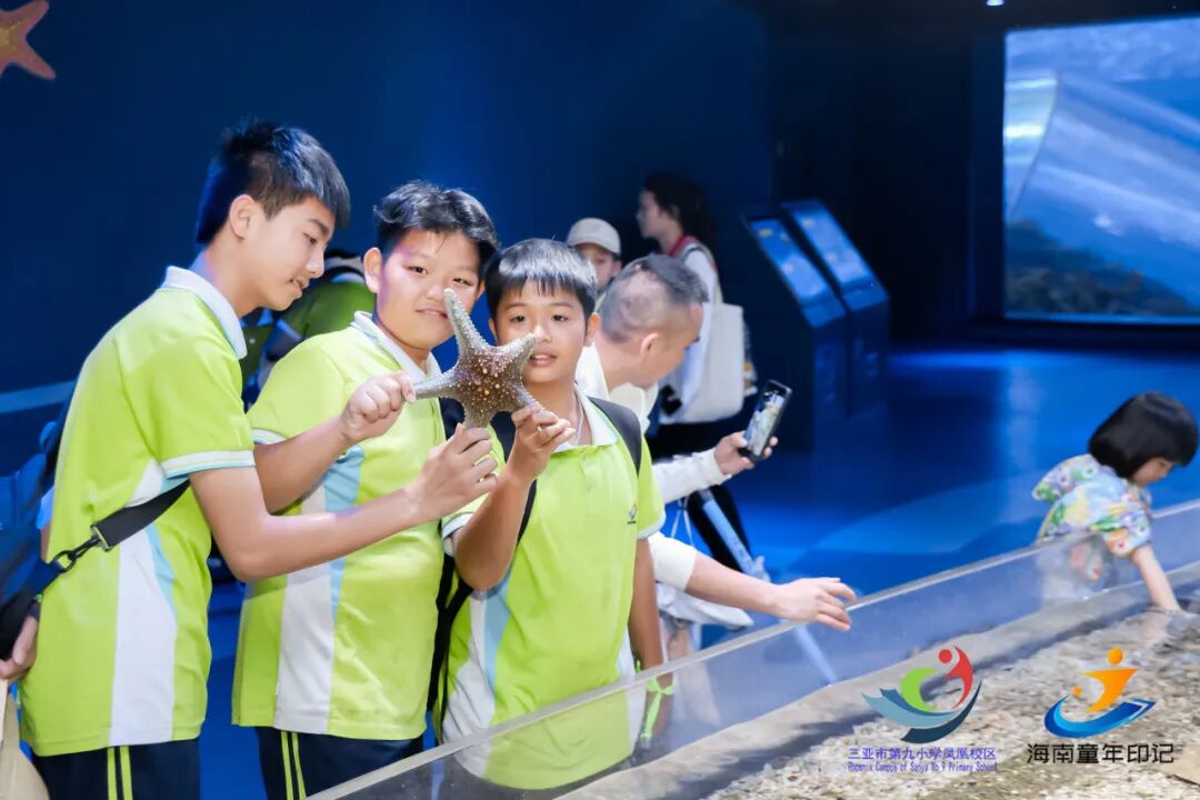 教师招聘 | 三亚市第九小学教育集团凤凰校区2026年招聘公告