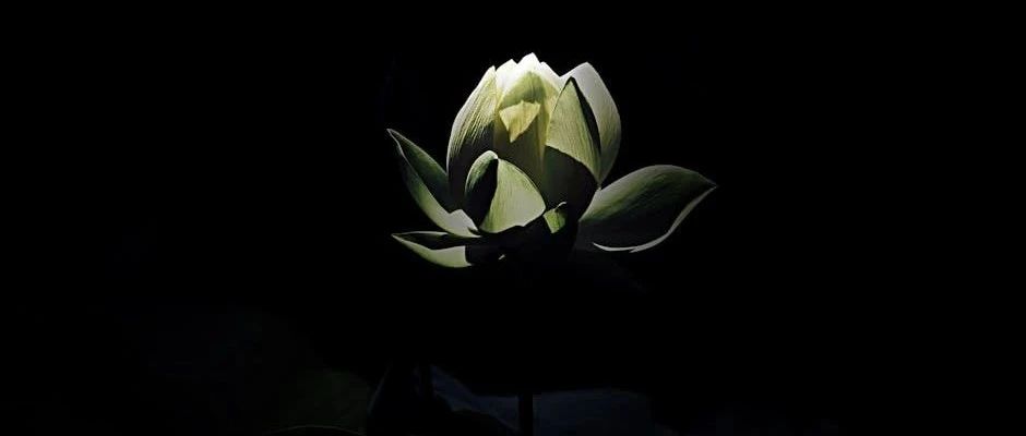 cover_image