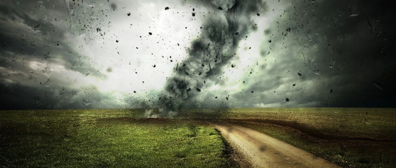 cover_image