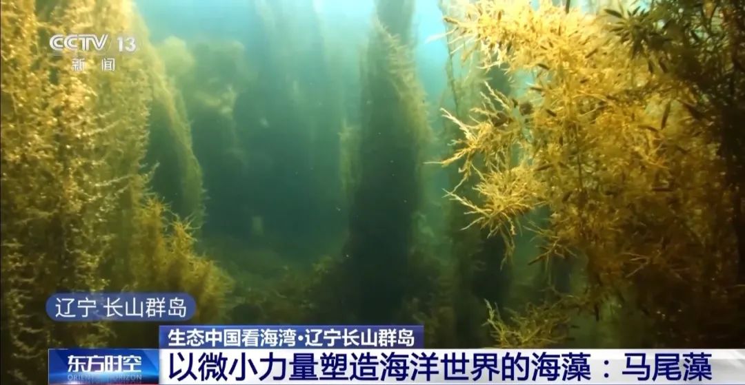 9图看海洋治理的中国方案